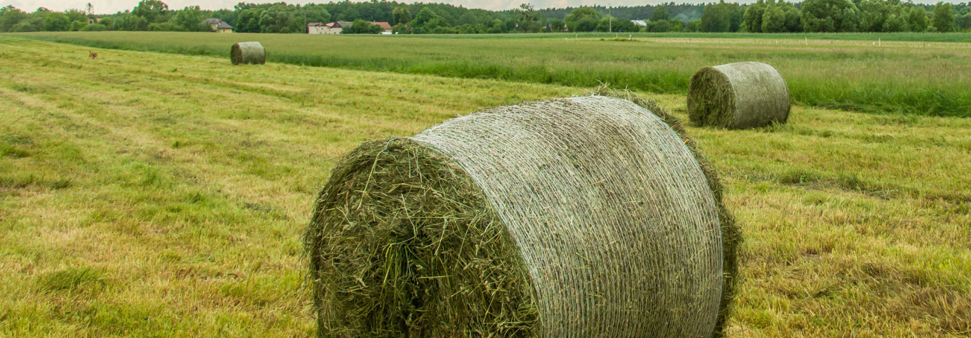 Unabhängige Fachstelle für Acker- und Futterbau - Strickhof