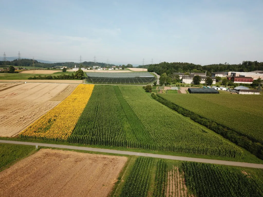 strickhof versuche versuchswesen pflanzenbau
