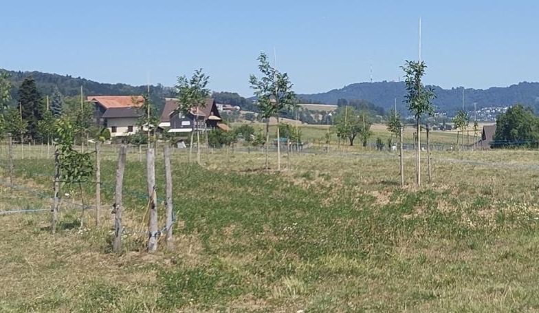 Wege aus dem Dürrestress