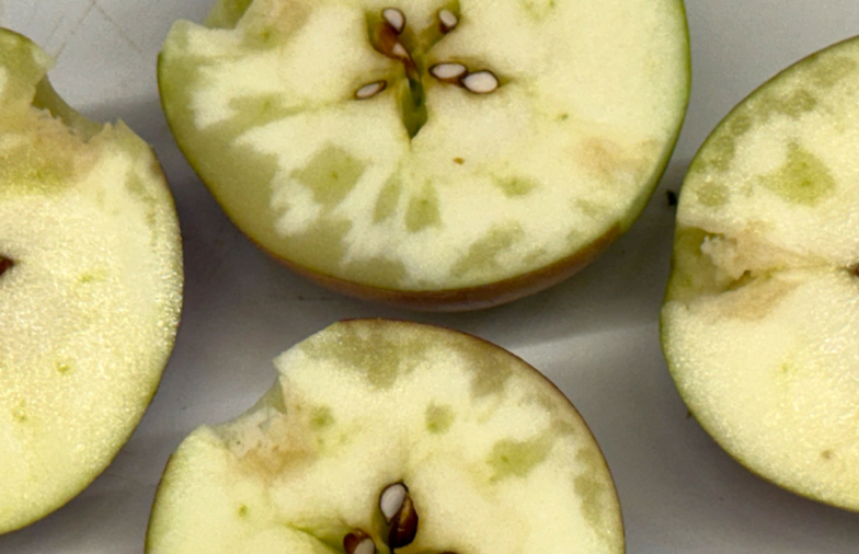 Obst-Info Zürich Nr. 20 vom 26. August 2026