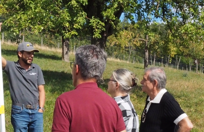 Neuer Entdeckerweg führt durch den Rebberg von Wülflingen