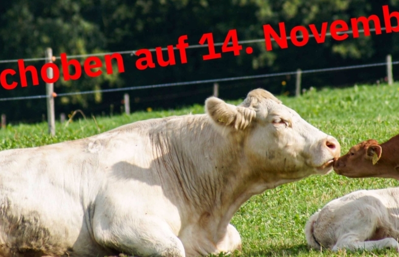 Regionaltagung TG, SH und ZH Mutterkuh Schweiz 2026