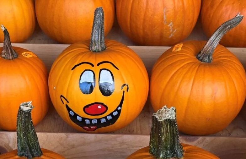Wie der Kürbis zum Symbolgemüse von Halloween wurde